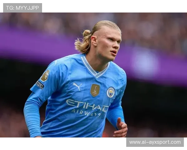 哈兰德终结效率保持稳定