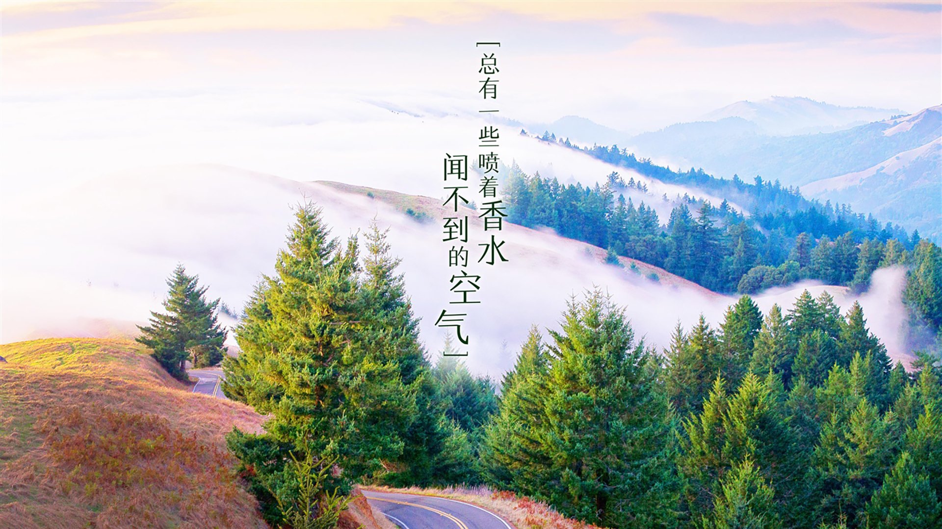 西甲后腰区域控制力提升成为球队稳定核心，西甲前腰排名