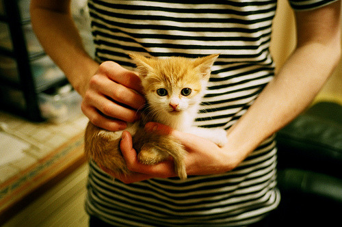 北京鸭关键战役中坚持团队协作稳住局势