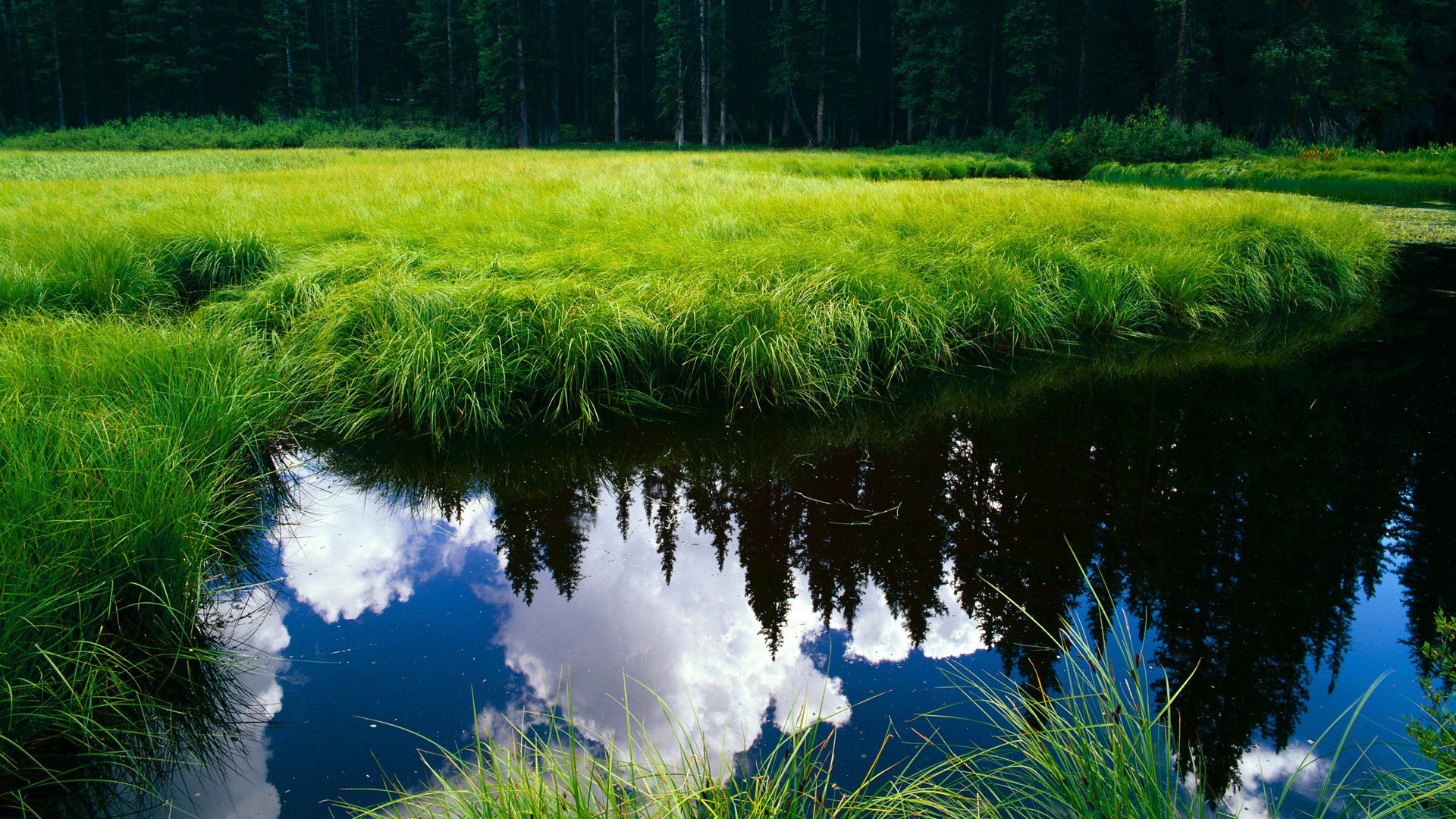 青训考核体系加入家庭支持度参考项，青训政策